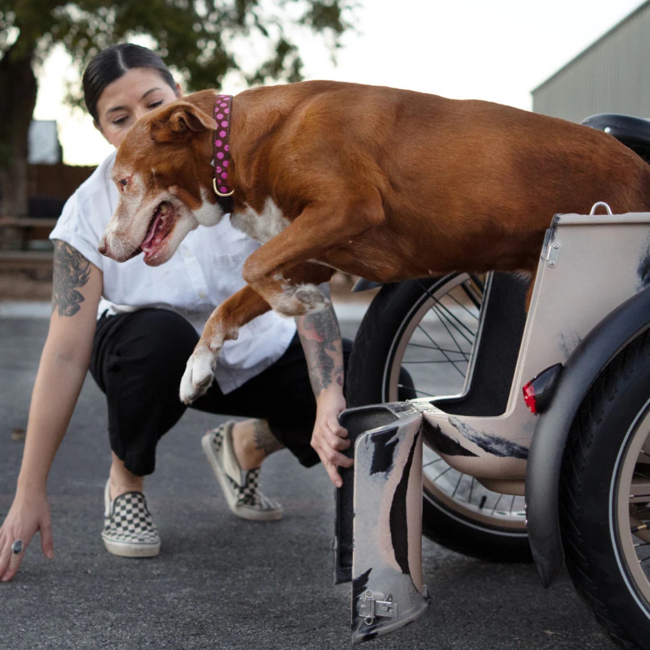 Electric bicycle，vehicle，originality，Electric Sidel，