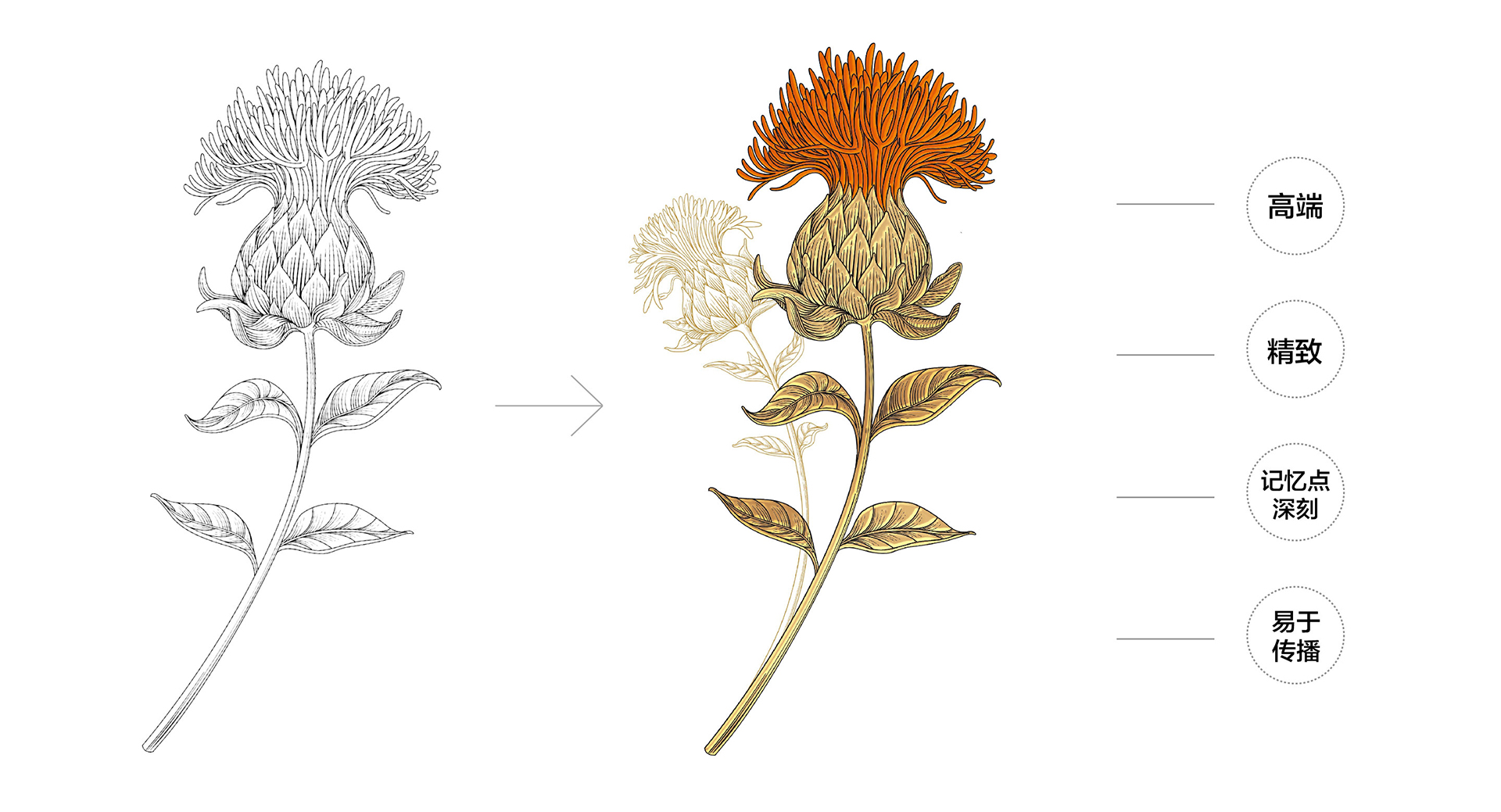 Safflower Seed Oil Packaging Design/Gift Box Packaging Design/Shengzhiyang Design，
