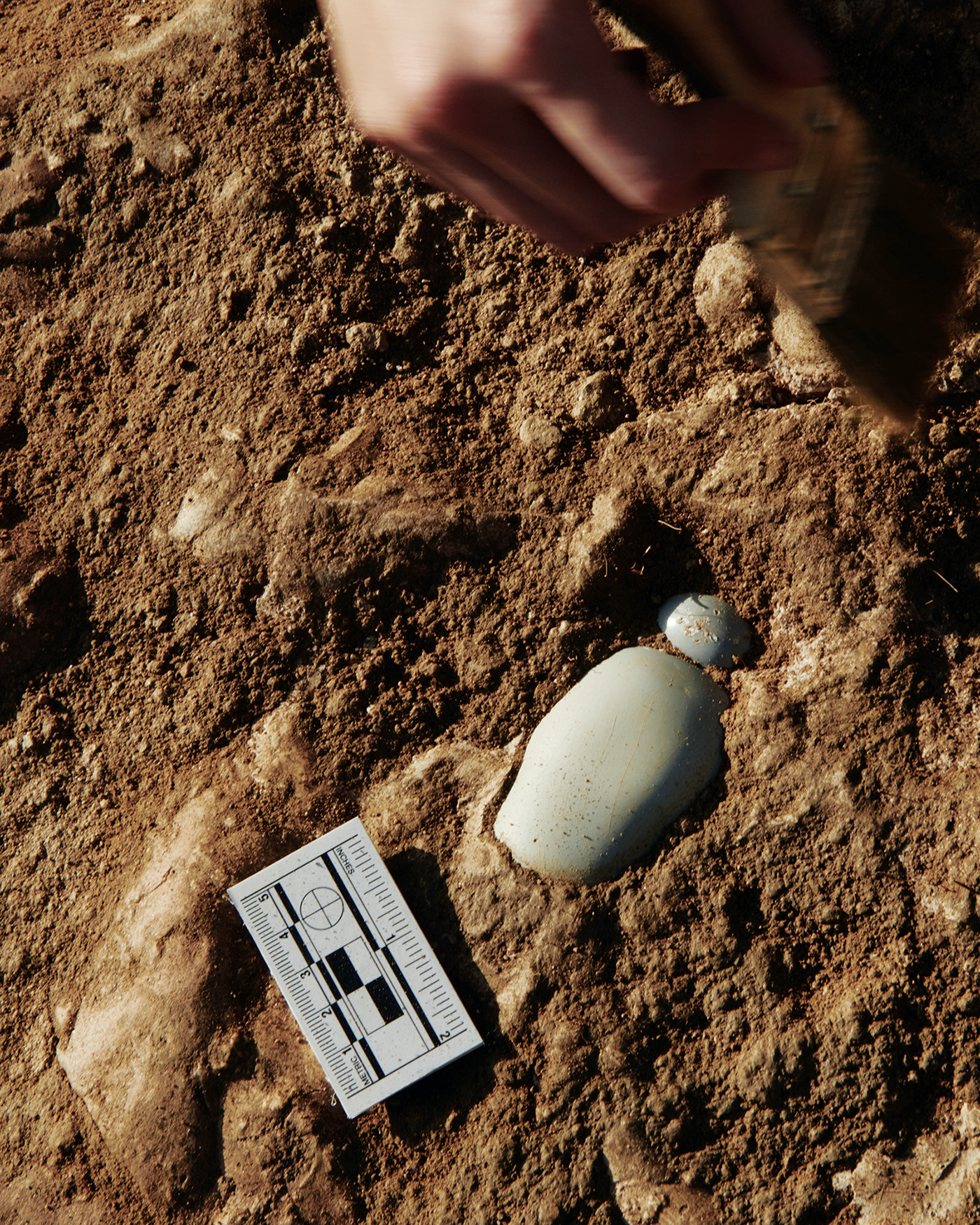 Degradable material，environment protection，Hand Cream，SIITA，