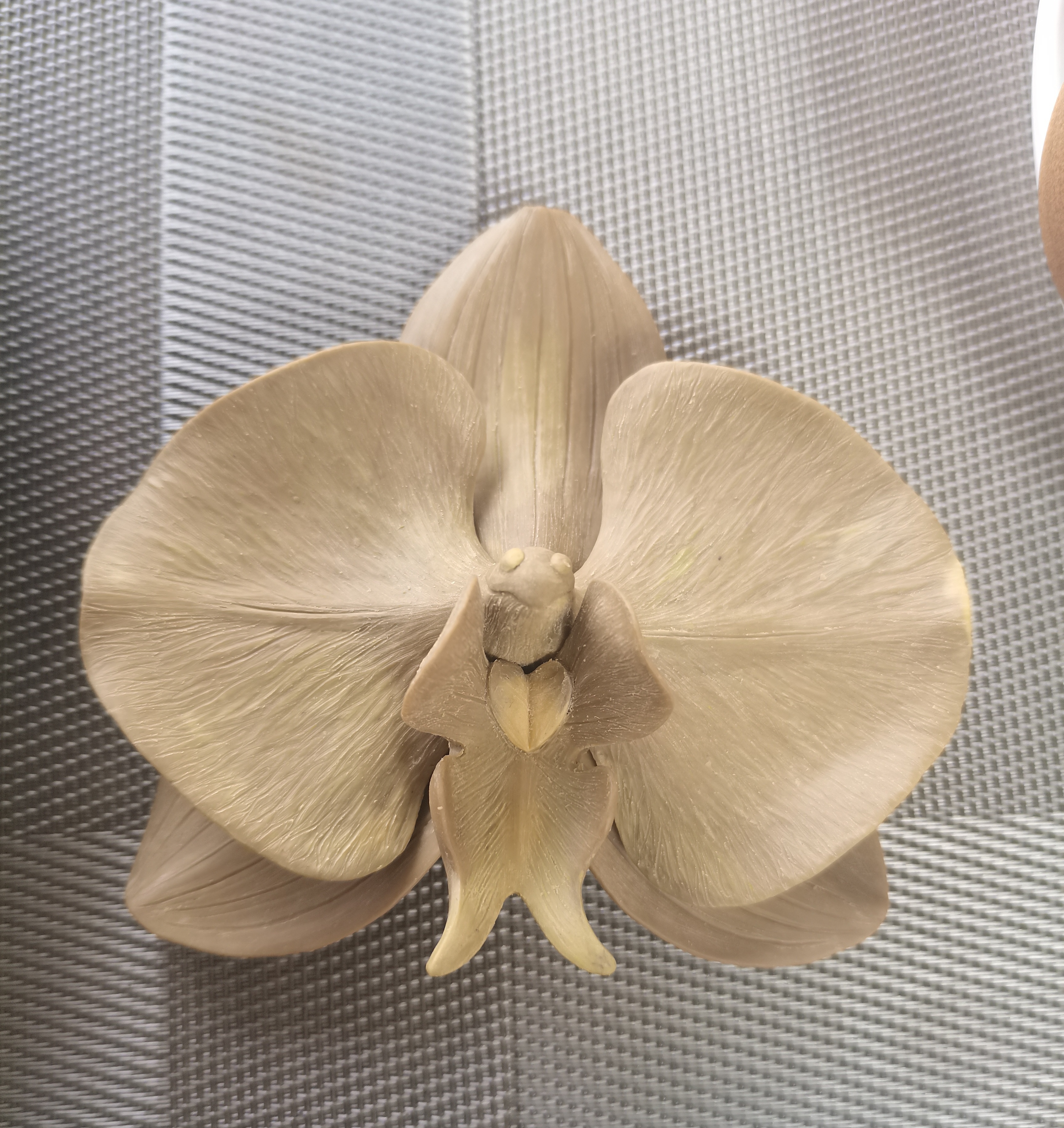 Pottery Handmade Phalaenopsis Sculpture Prototype, Waiting for Coloring，