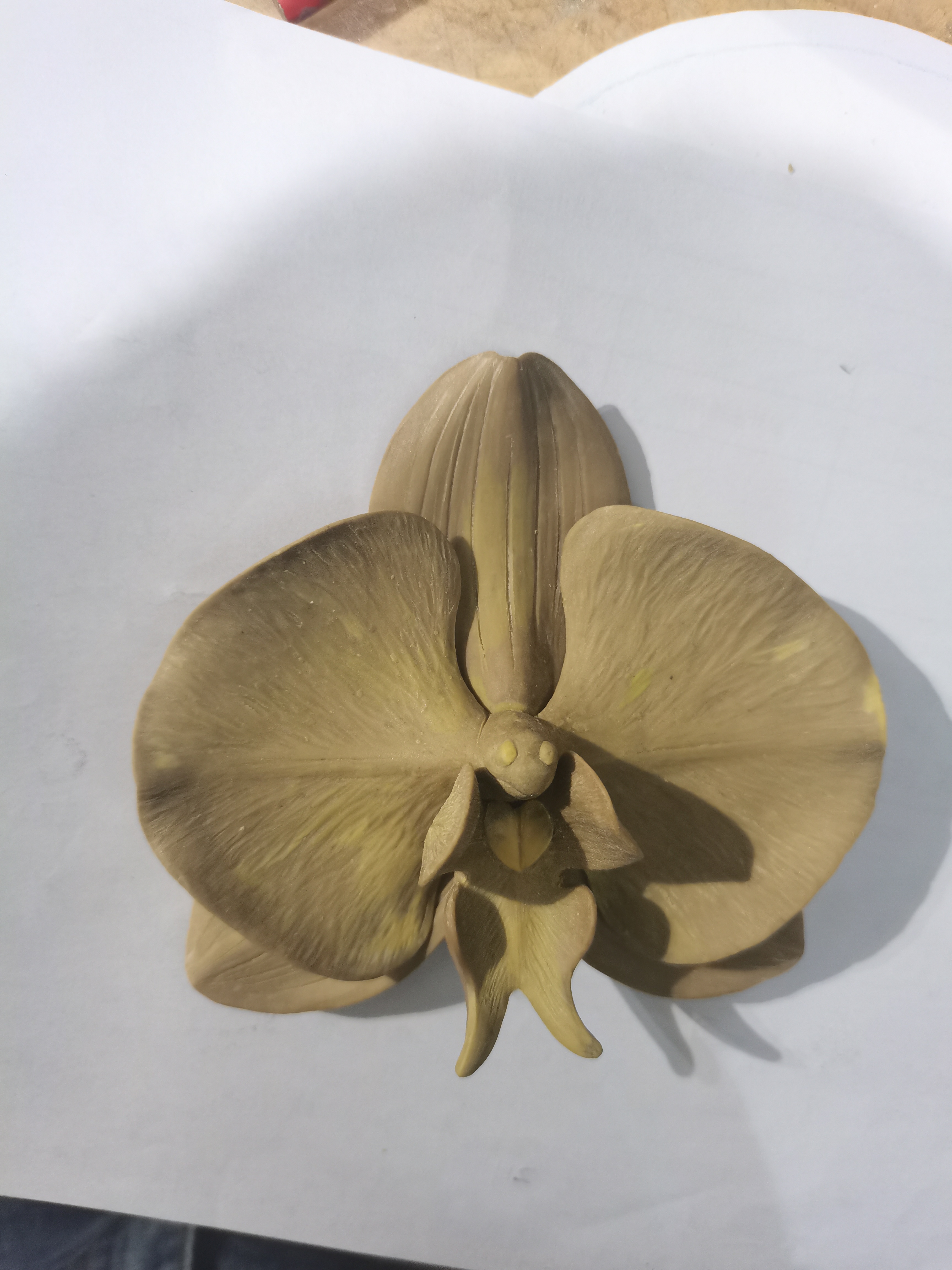 Pottery Handmade Phalaenopsis Sculpture Prototype, Waiting for Coloring，