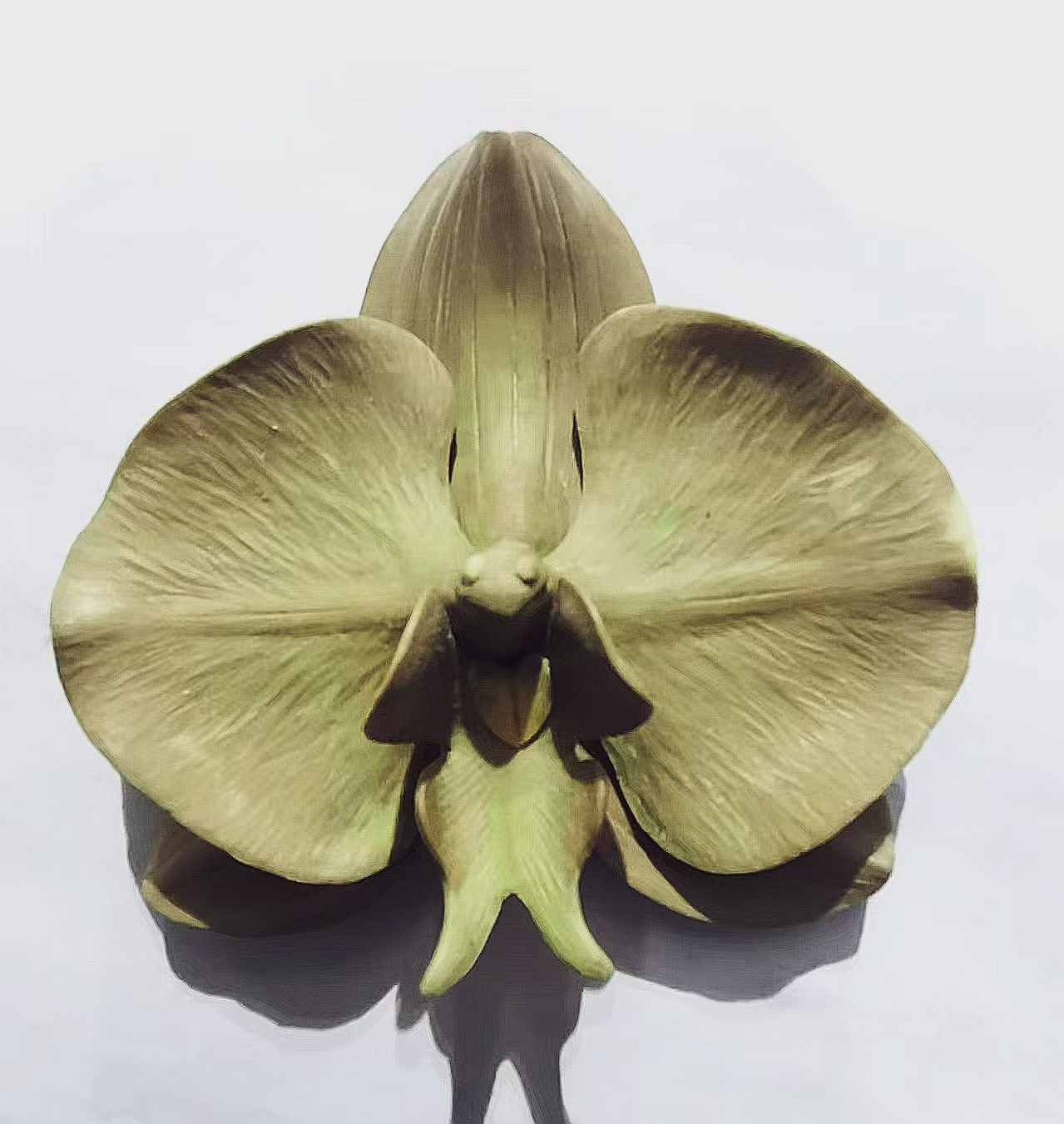 Pottery Handmade Phalaenopsis Sculpture Prototype, Waiting for Coloring，
