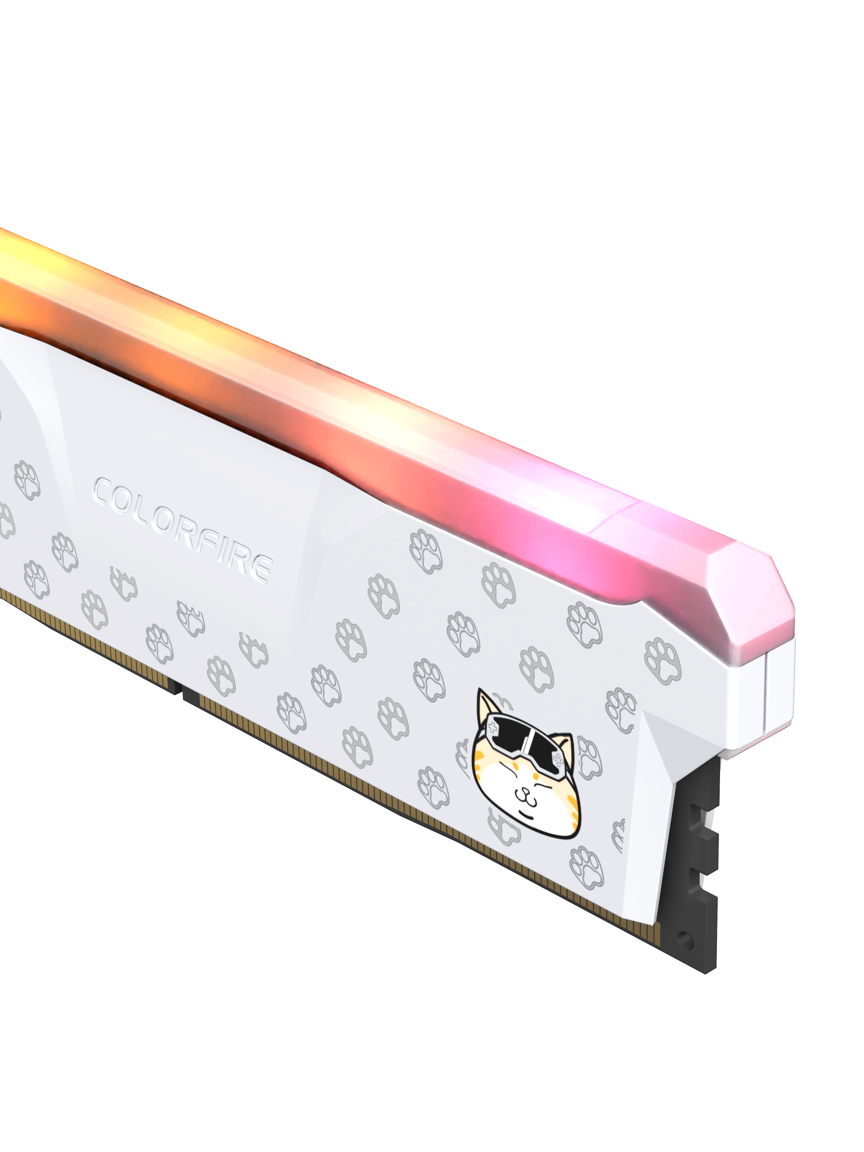 cat，Pets，Memory，Hardware，Seven rainbow，