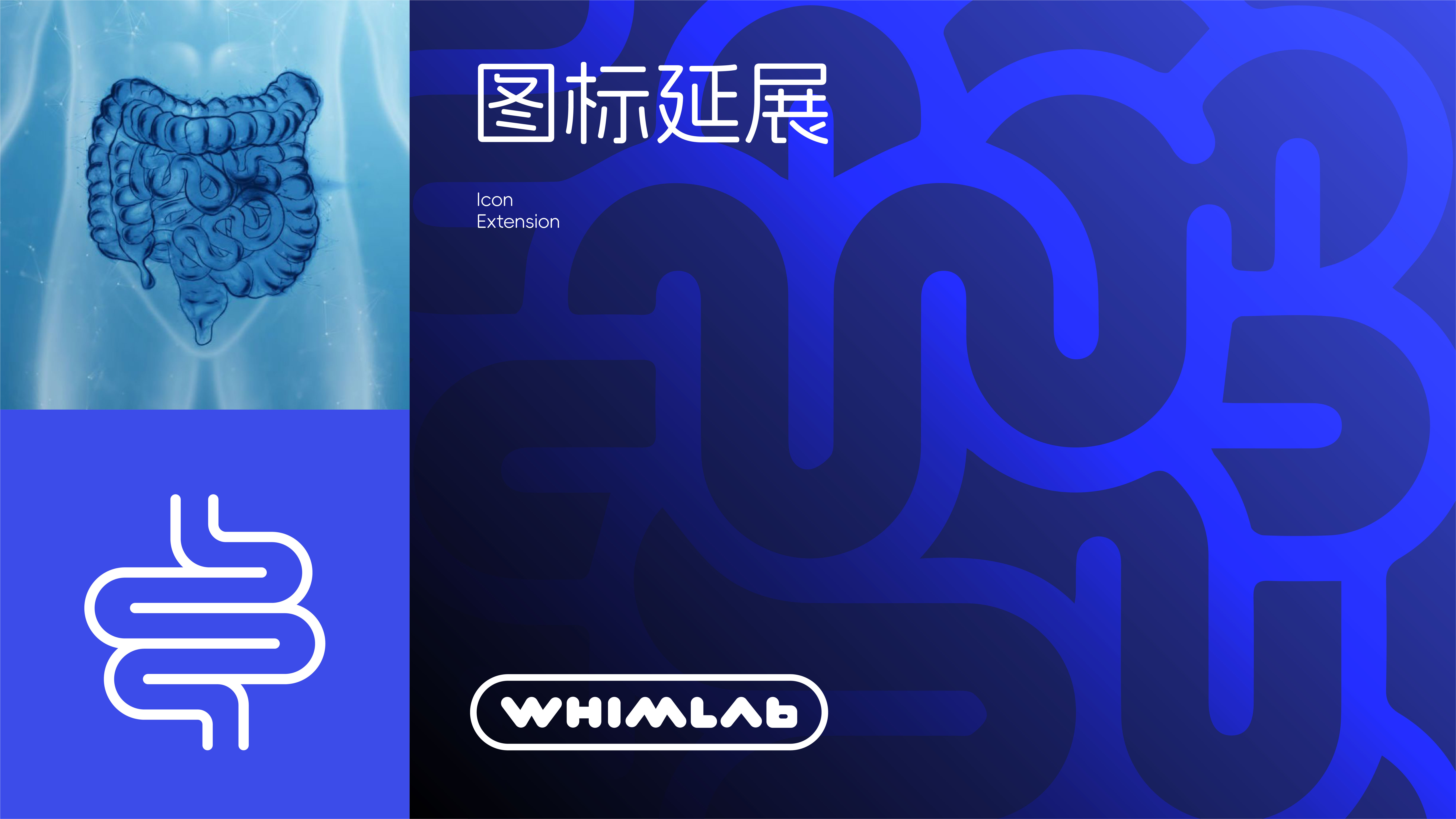 Probiotics，health products，packing design，Brand design，product design，