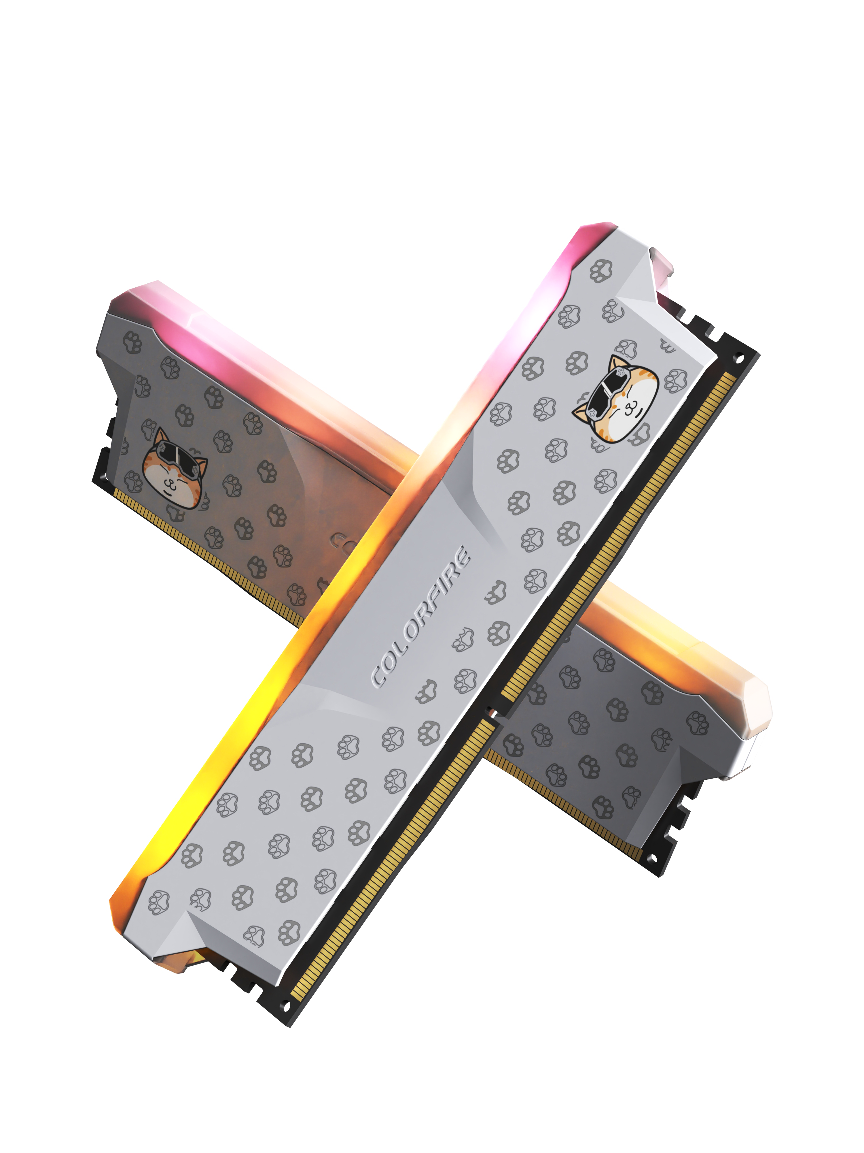 cat，Pets，Memory，Hardware，Seven rainbow，