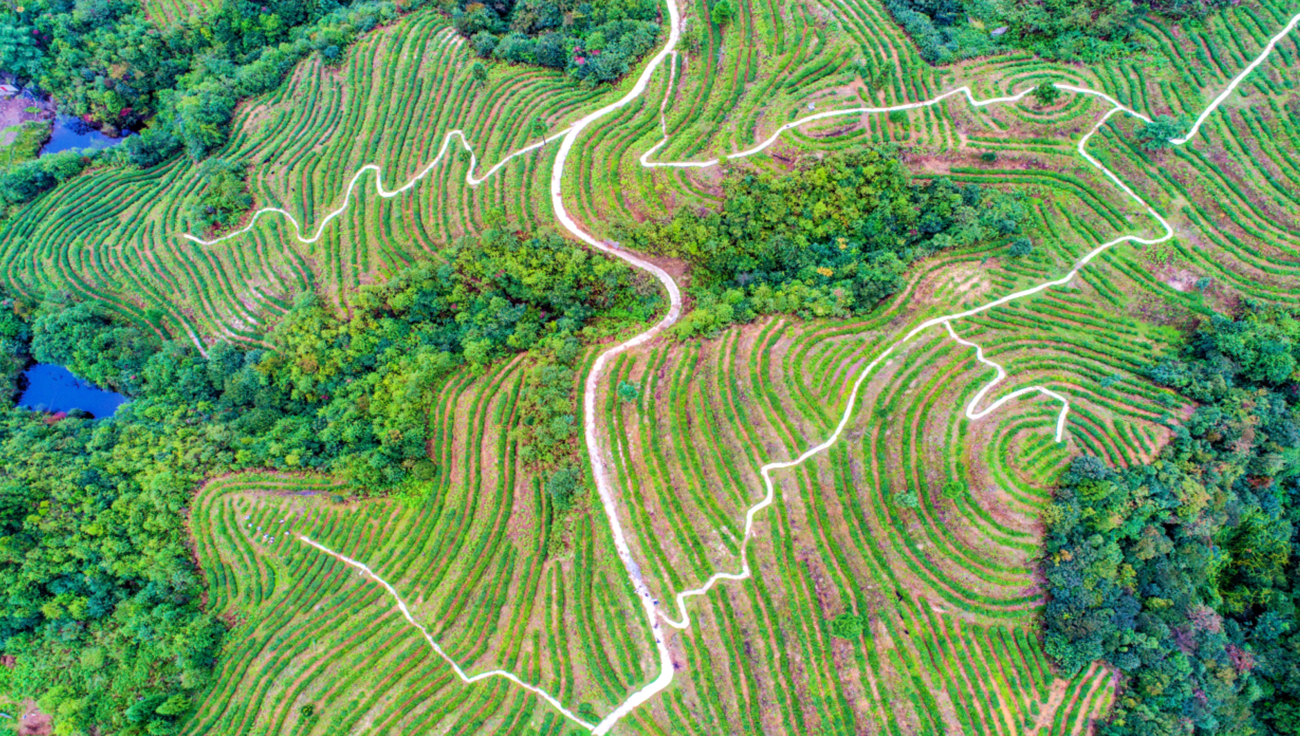 Taiji Black Tea Packaging，Tea gift box packaging，High-end tea packaging，