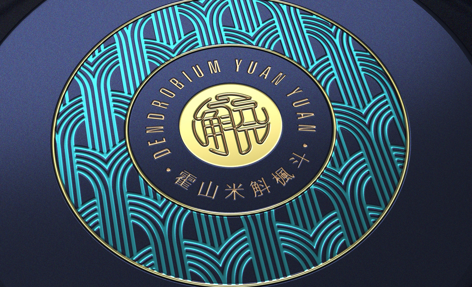 Dendrobium Huoshanense Packaging，Dendrobium officinale gift box packaging，Packaging design of health products，