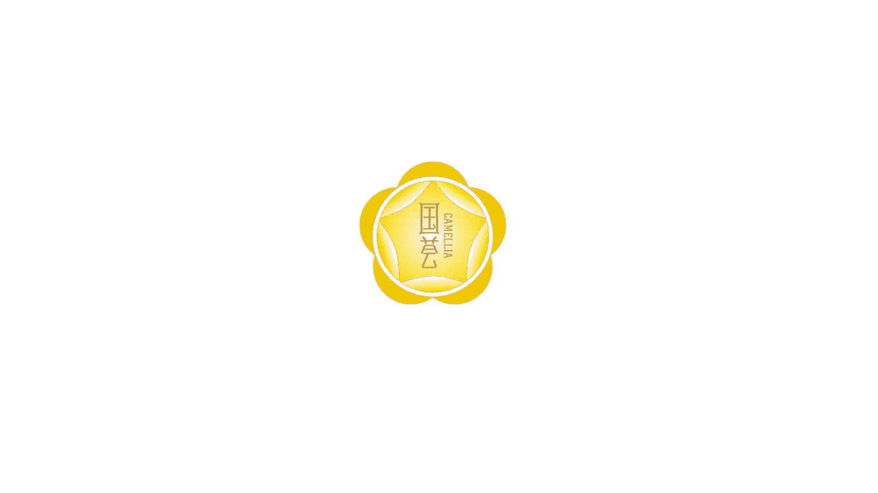 Guohui Golden Camellia Tea Packaging，Golden Flower Tea Packaging，Nutritional health care products packaging，