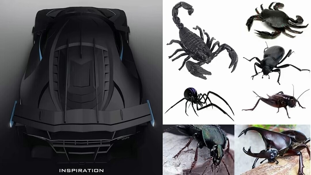 How do you find this out? Do you choose one or not,，