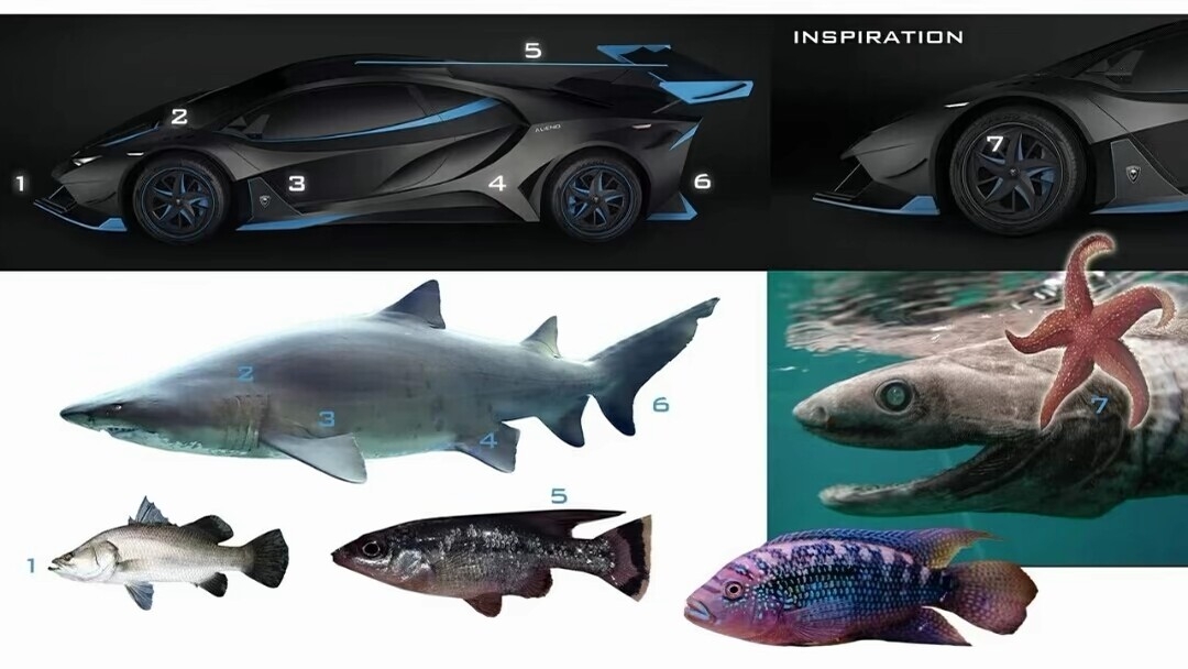 How do you find this out? Do you choose one or not,，