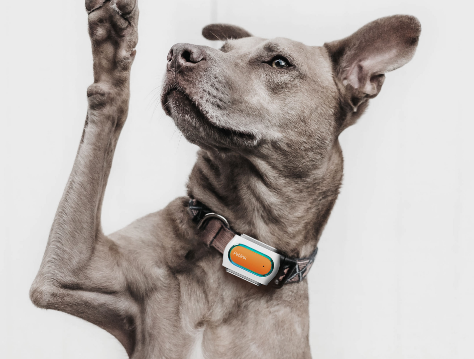 Pet locator, anti-loss device，