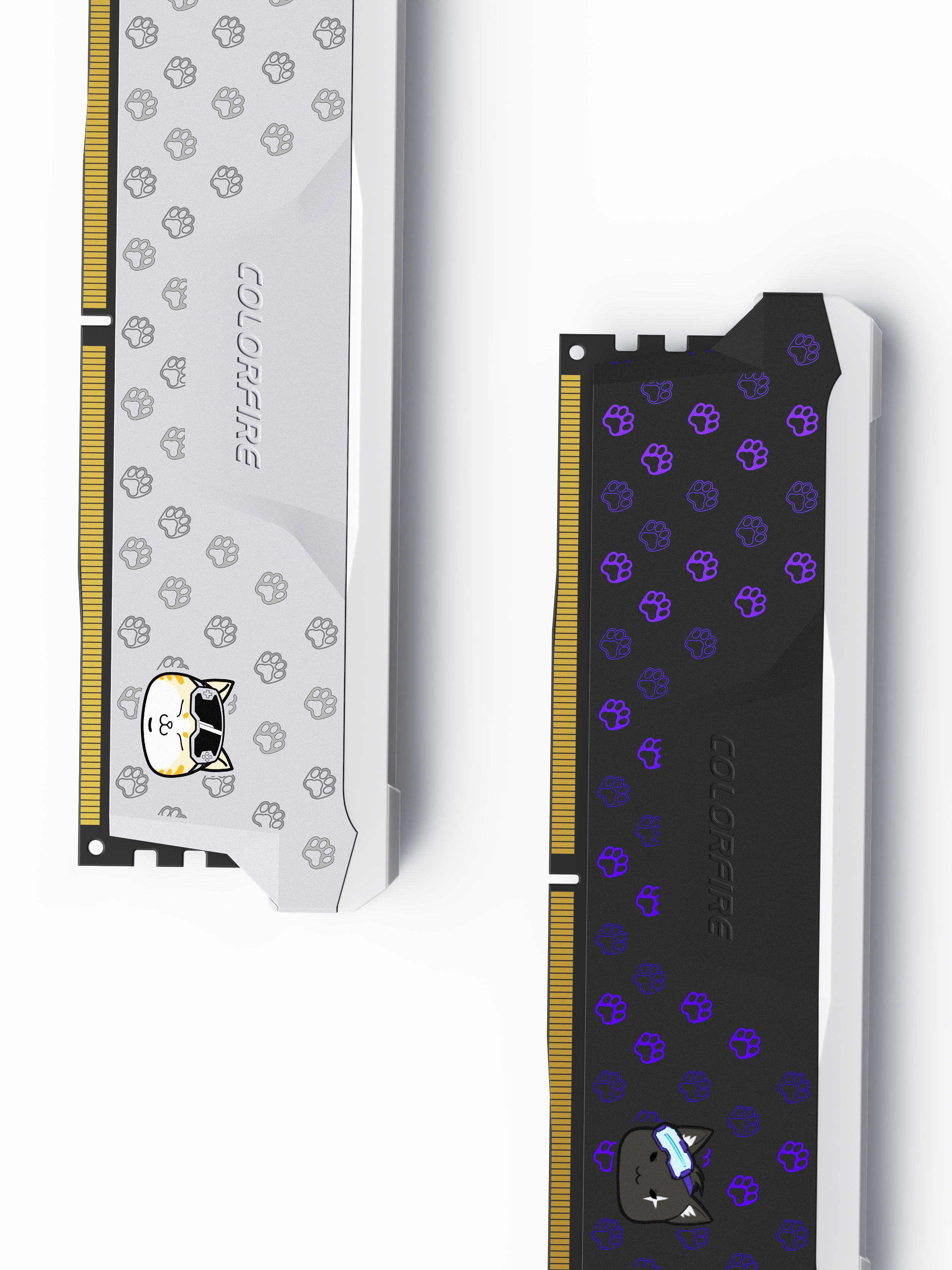 cat，Pets，Memory，Hardware，Seven rainbow，