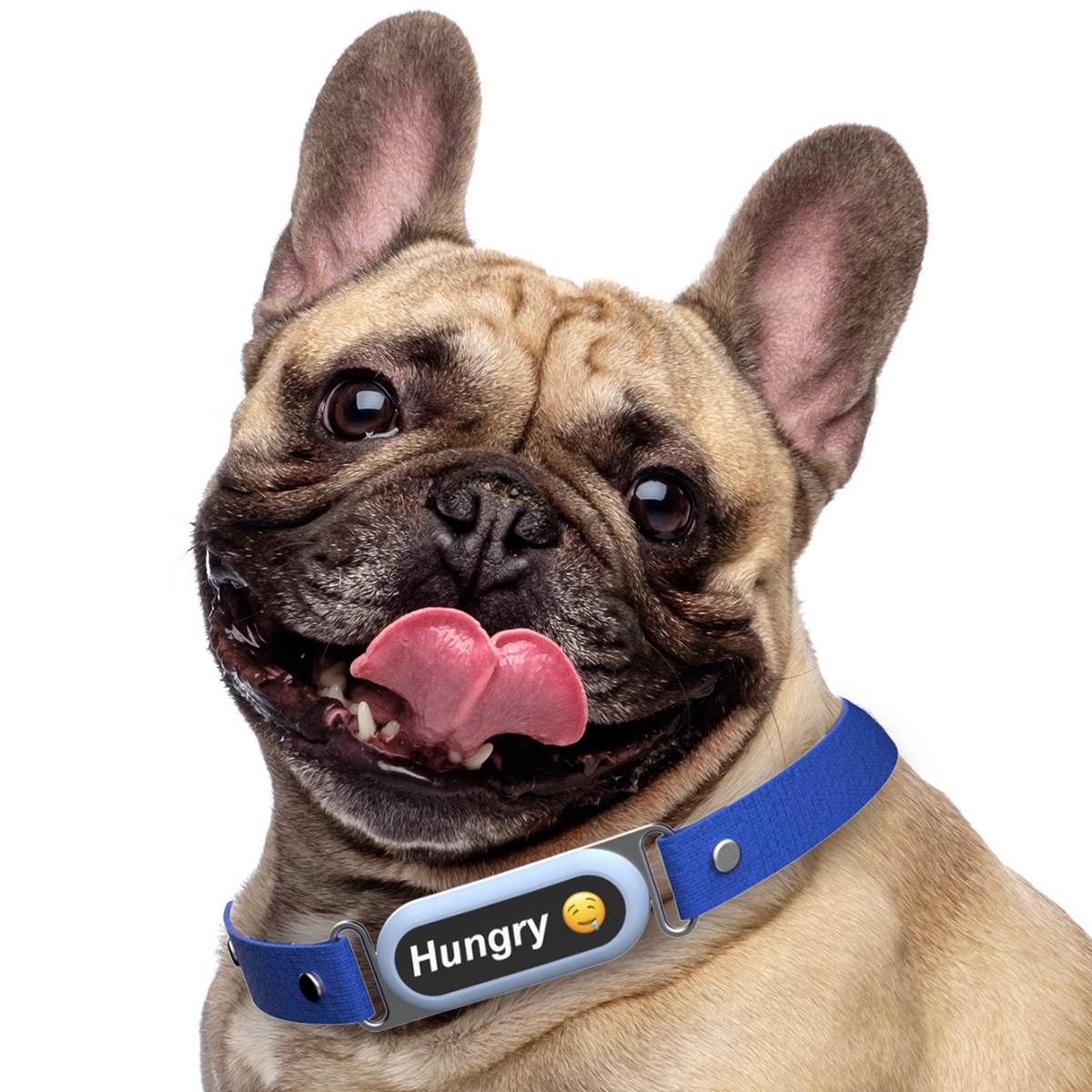 Happy Dog，Digital，intelligence，Electronic equipment，