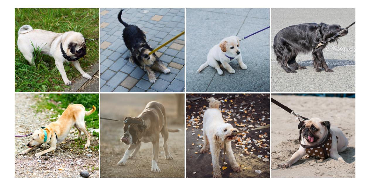 Happy Dog，Digital，intelligence，Electronic equipment，