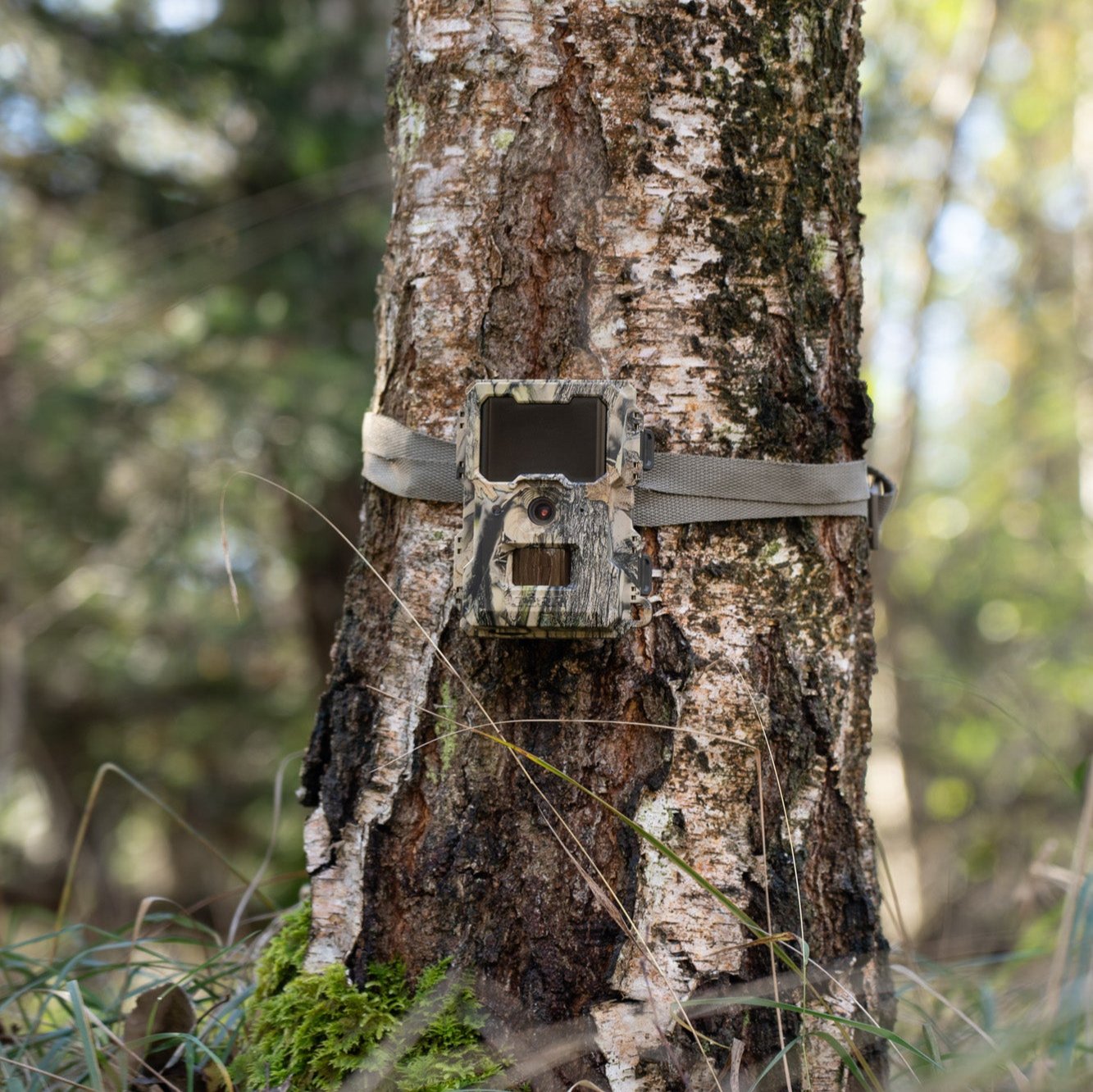 hunting camera，Monitoring equipment，