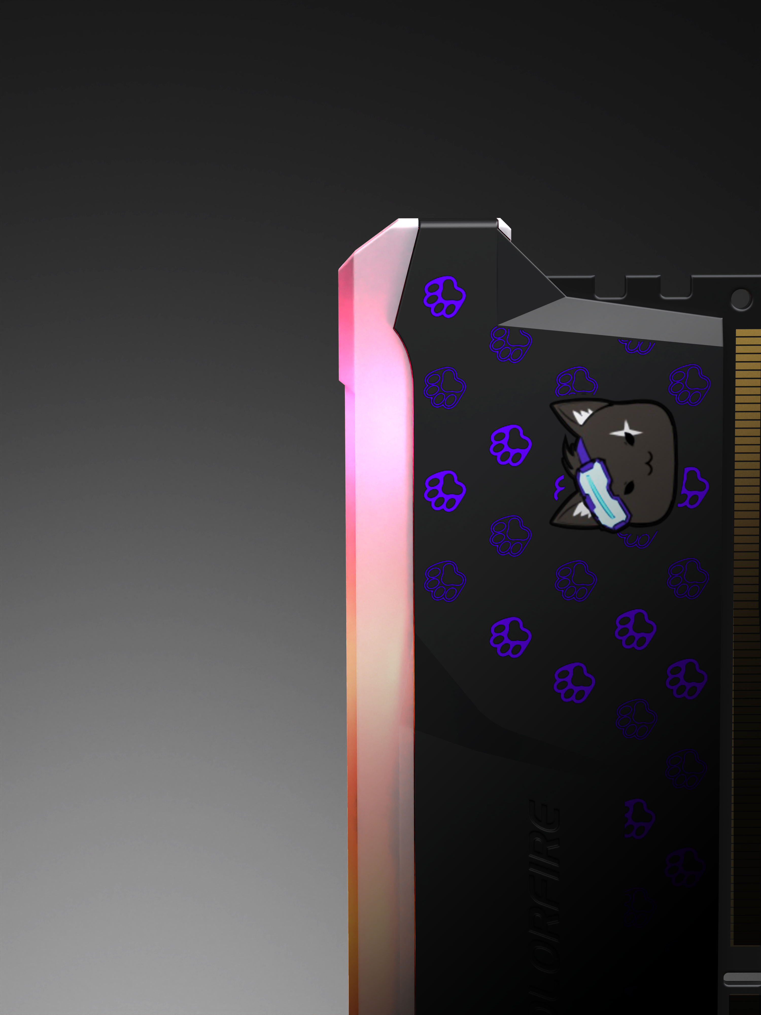 cat，Pets，Memory，Hardware，Seven rainbow，