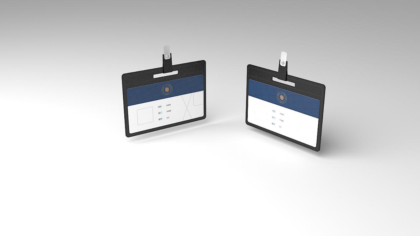 Packaging of Dendrobium officinale，Packaging Design of Dendrobium Huoshanense，Exclusive store design，