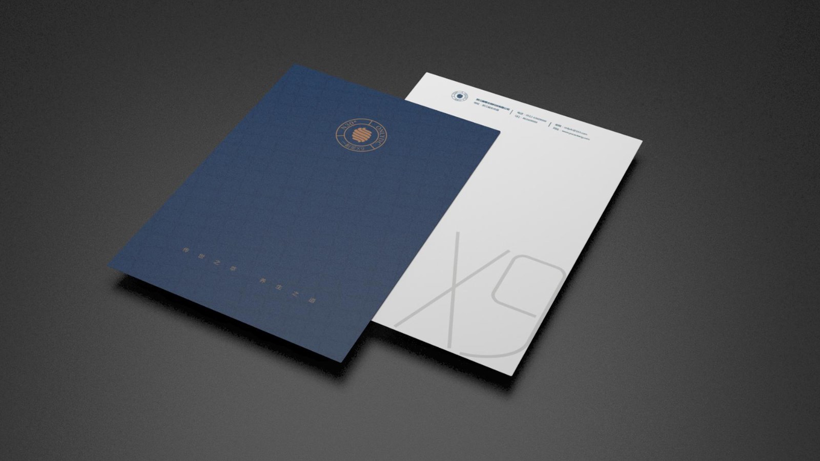 Packaging of Dendrobium officinale，Packaging Design of Dendrobium Huoshanense，Exclusive store design，