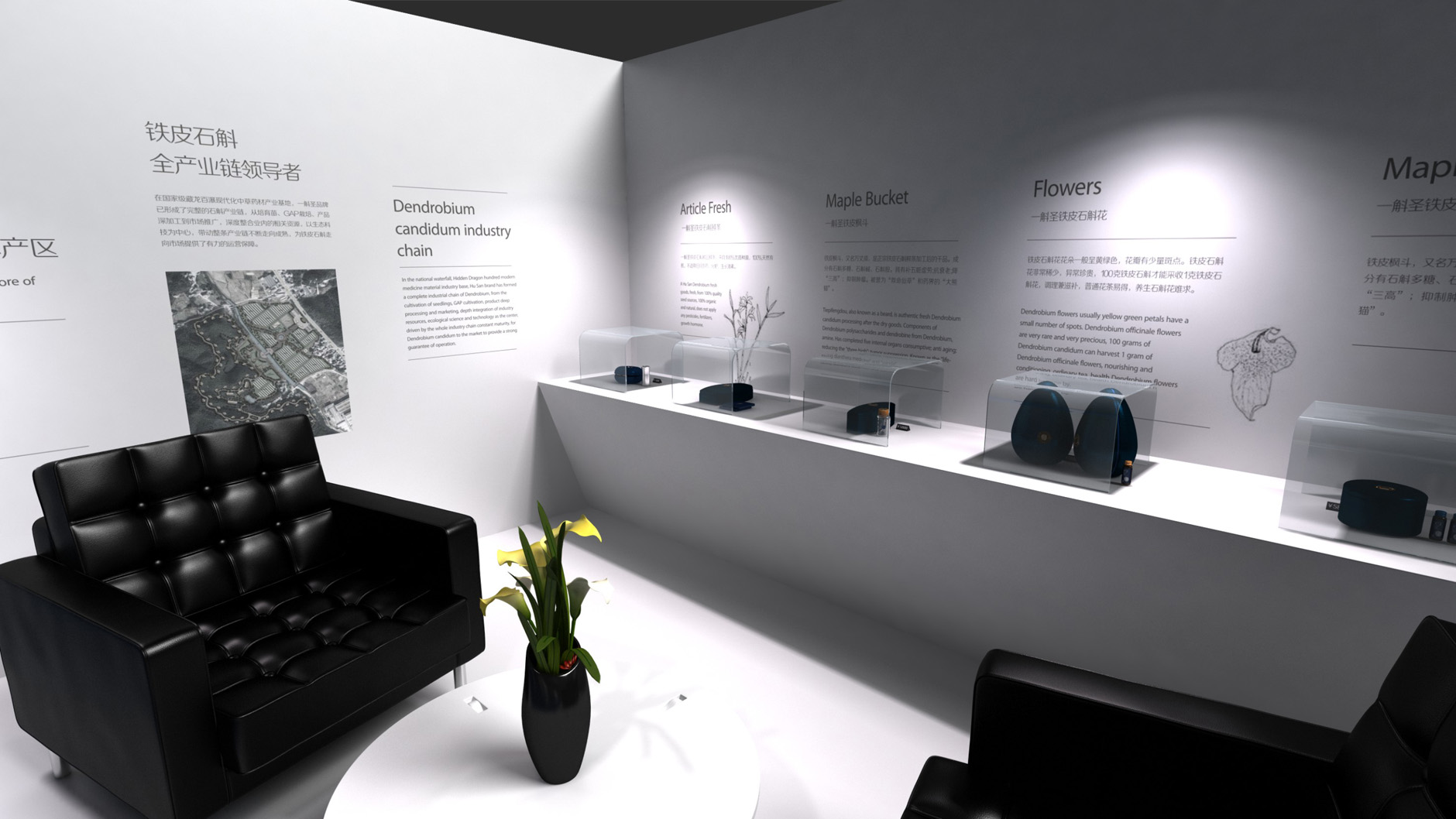 Packaging of Dendrobium officinale，Packaging Design of Dendrobium Huoshanense，Exclusive store design，