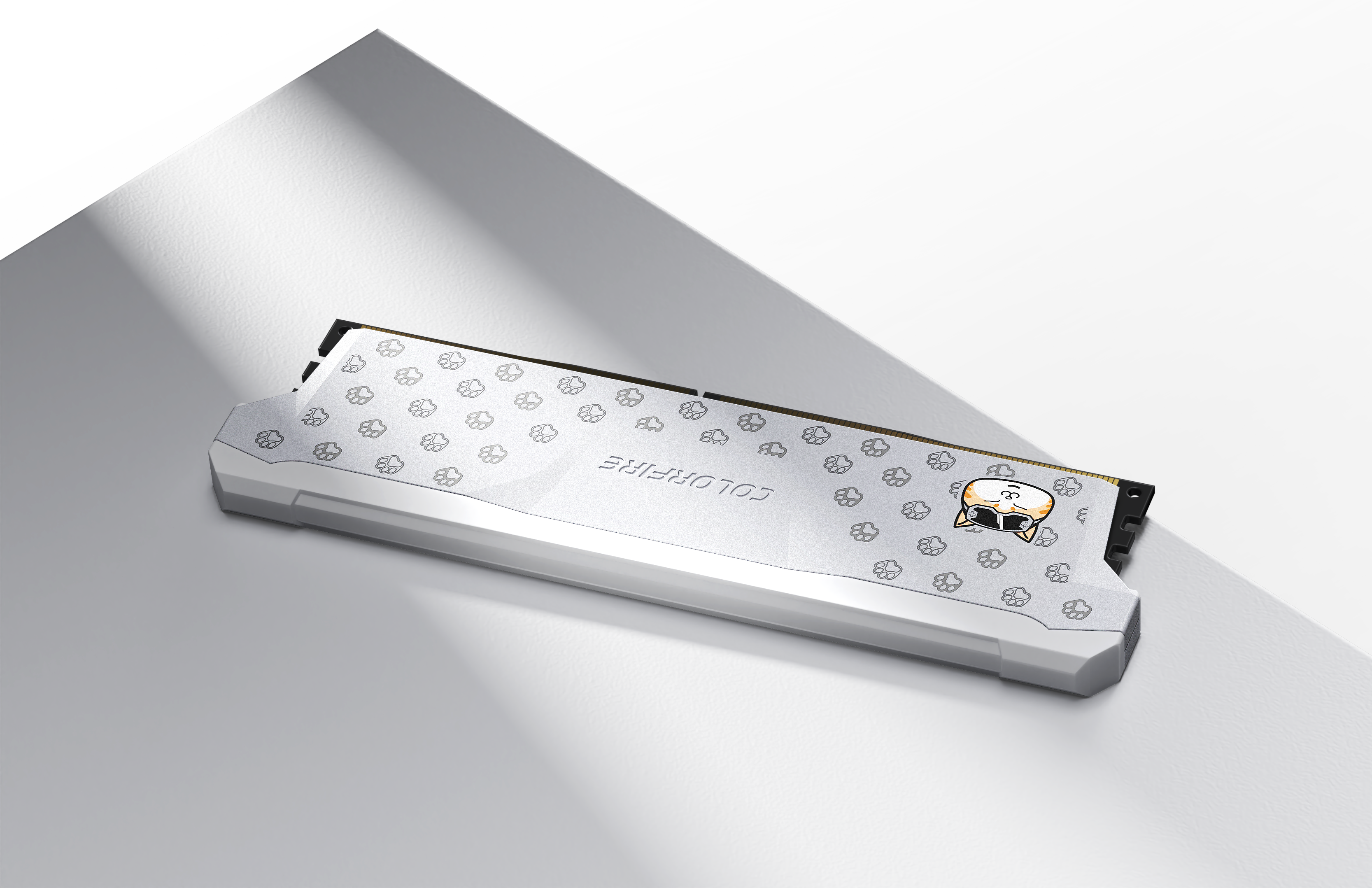 cat，Pets，Memory，Hardware，Seven rainbow，