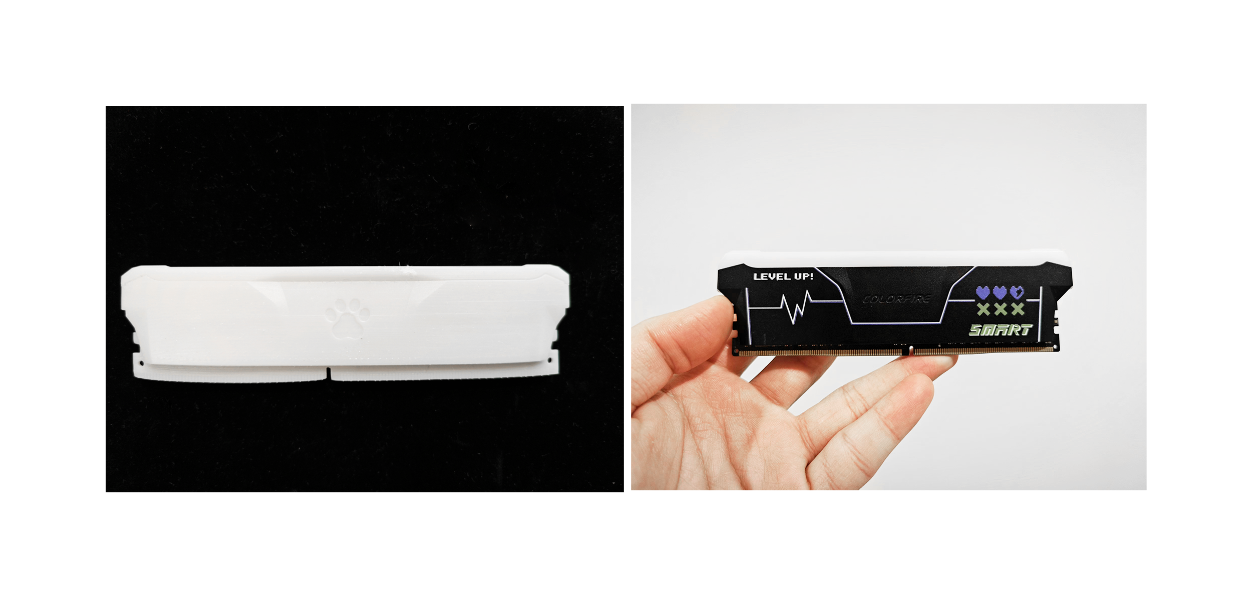 cat，Pets，Memory，Hardware，Seven rainbow，