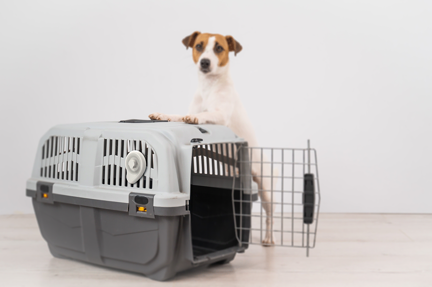 deaf-aid，Ring，O，Relieve Anxiety，