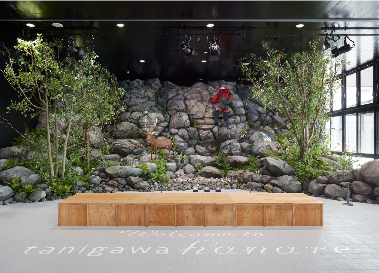 Japan，business，design，MOUNTAIN，aqua，