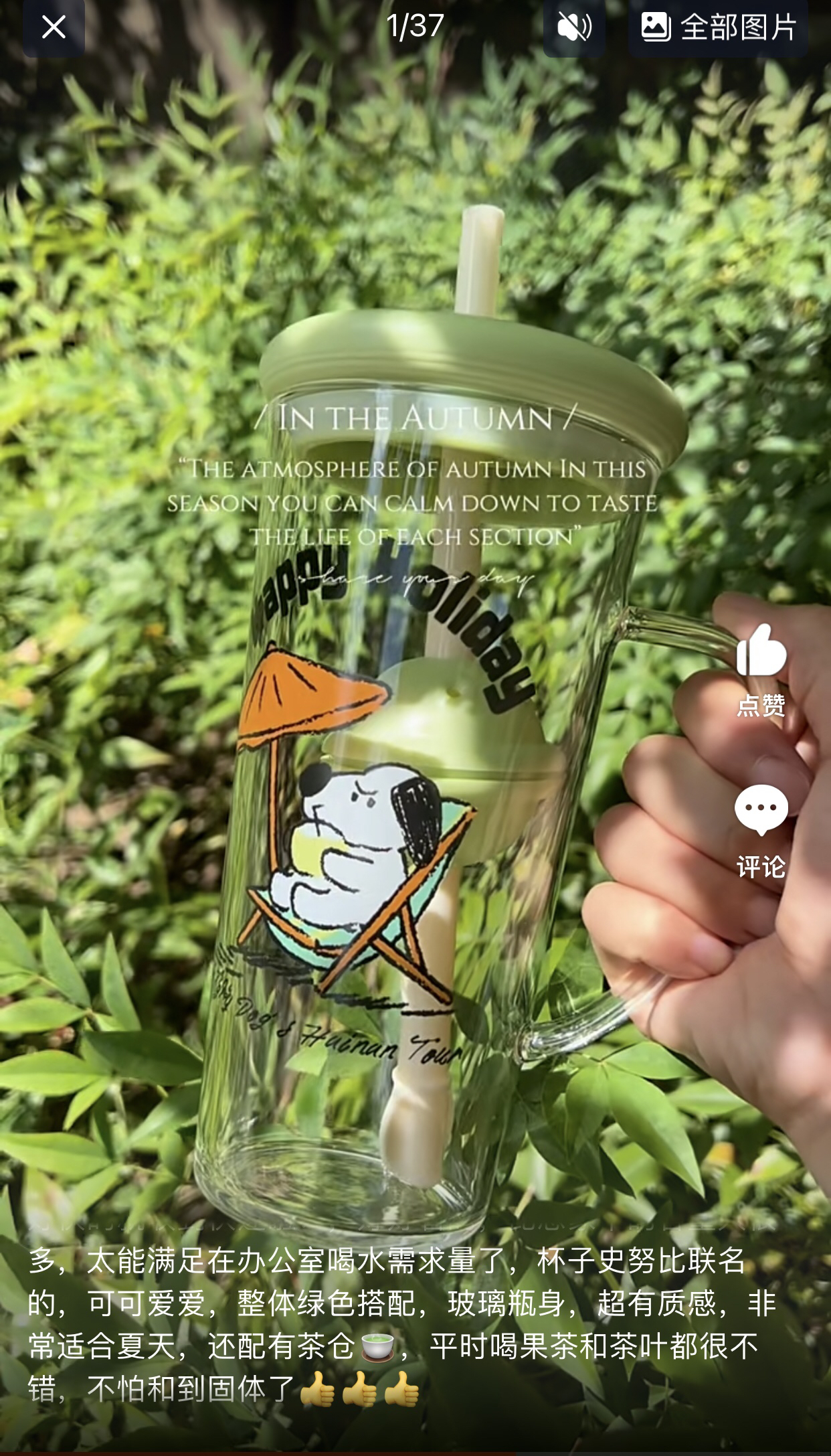 Cup design，Straw design，flower receptacle，Adjustable straw，With tea drain straw，