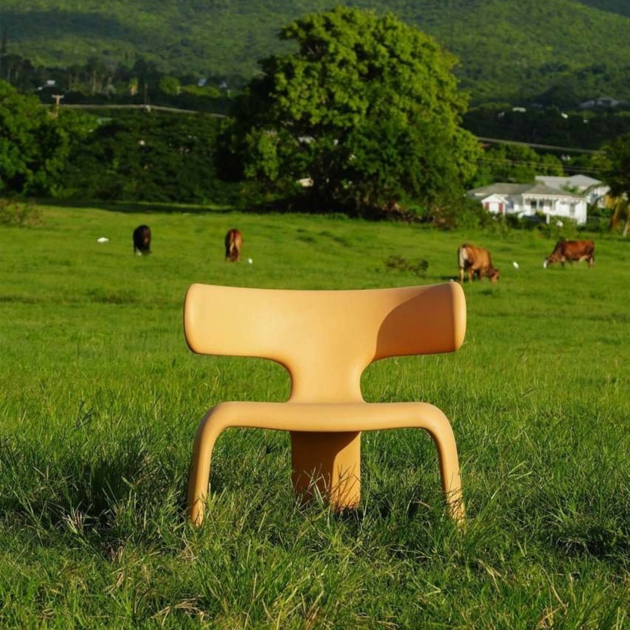 Limbo，chair，furniture，originality，