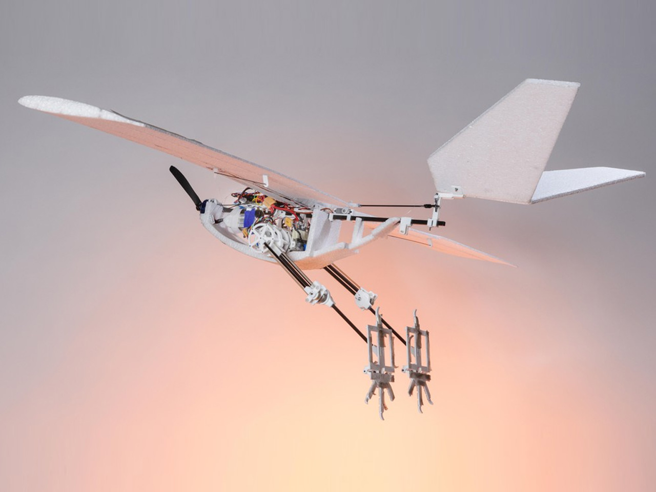 raven，UAV，Electronics，Air Vehicle，