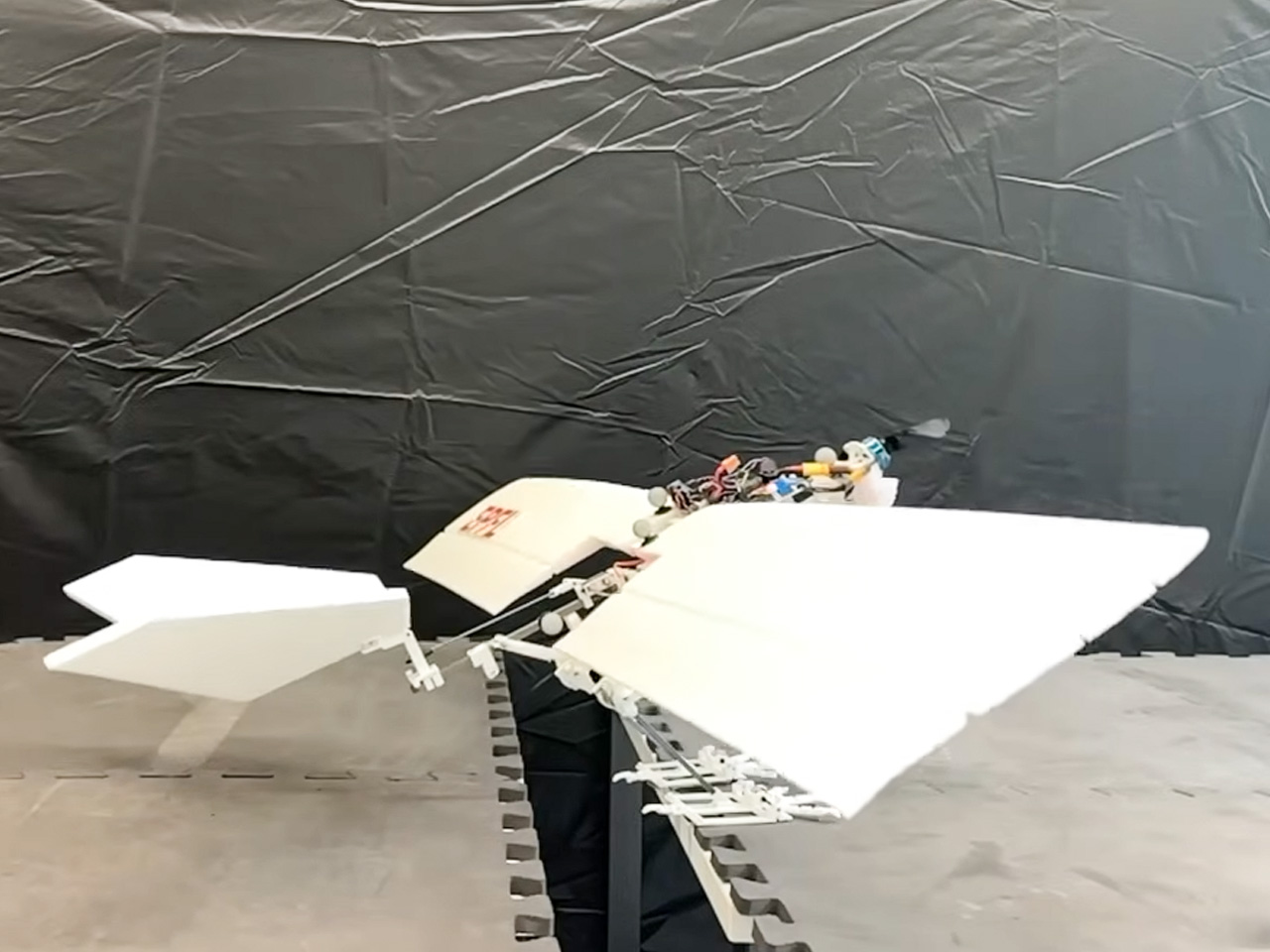 raven，UAV，Electronics，Air Vehicle，