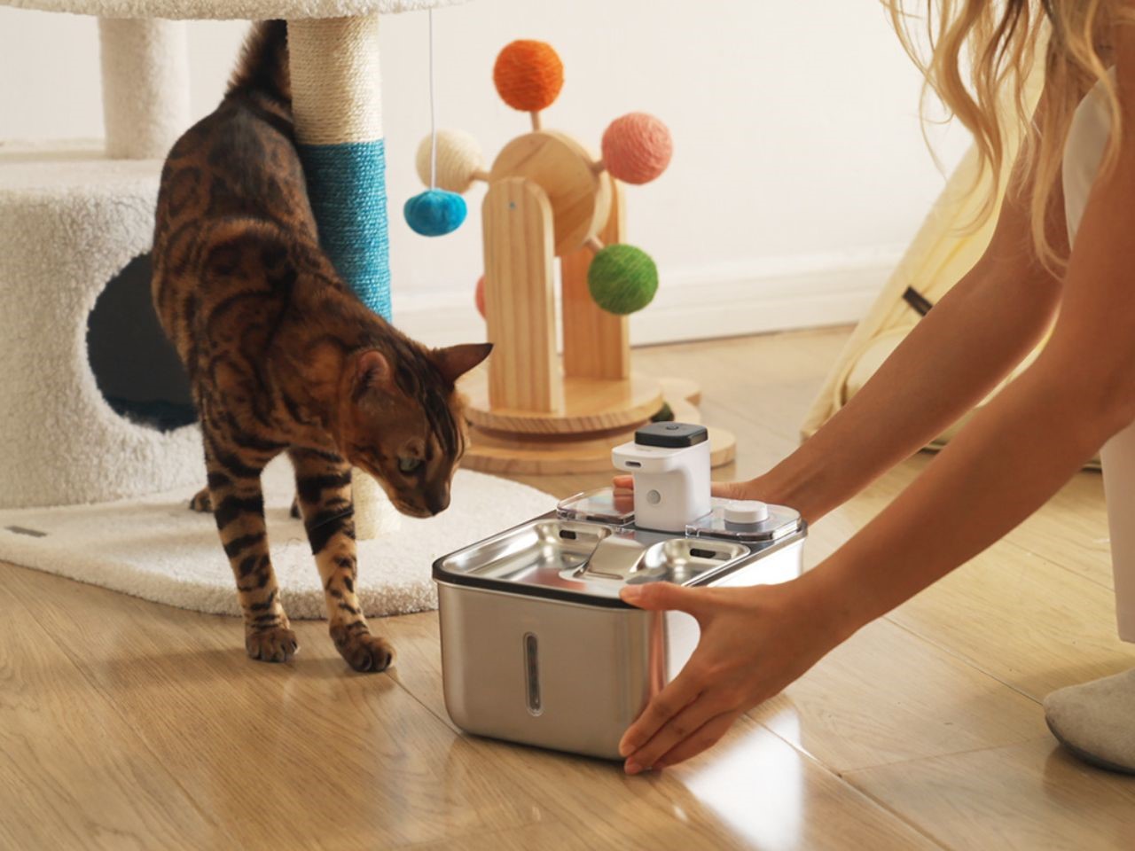 Qinliy，Pet water dispenser，Pet Supplies & Pet，Cat water dispenser，