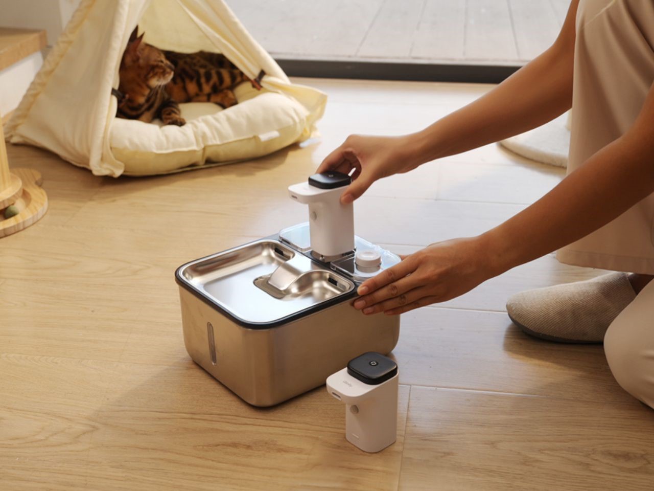Qinliy，Pet water dispenser，Pet Supplies & Pet，Cat water dispenser，