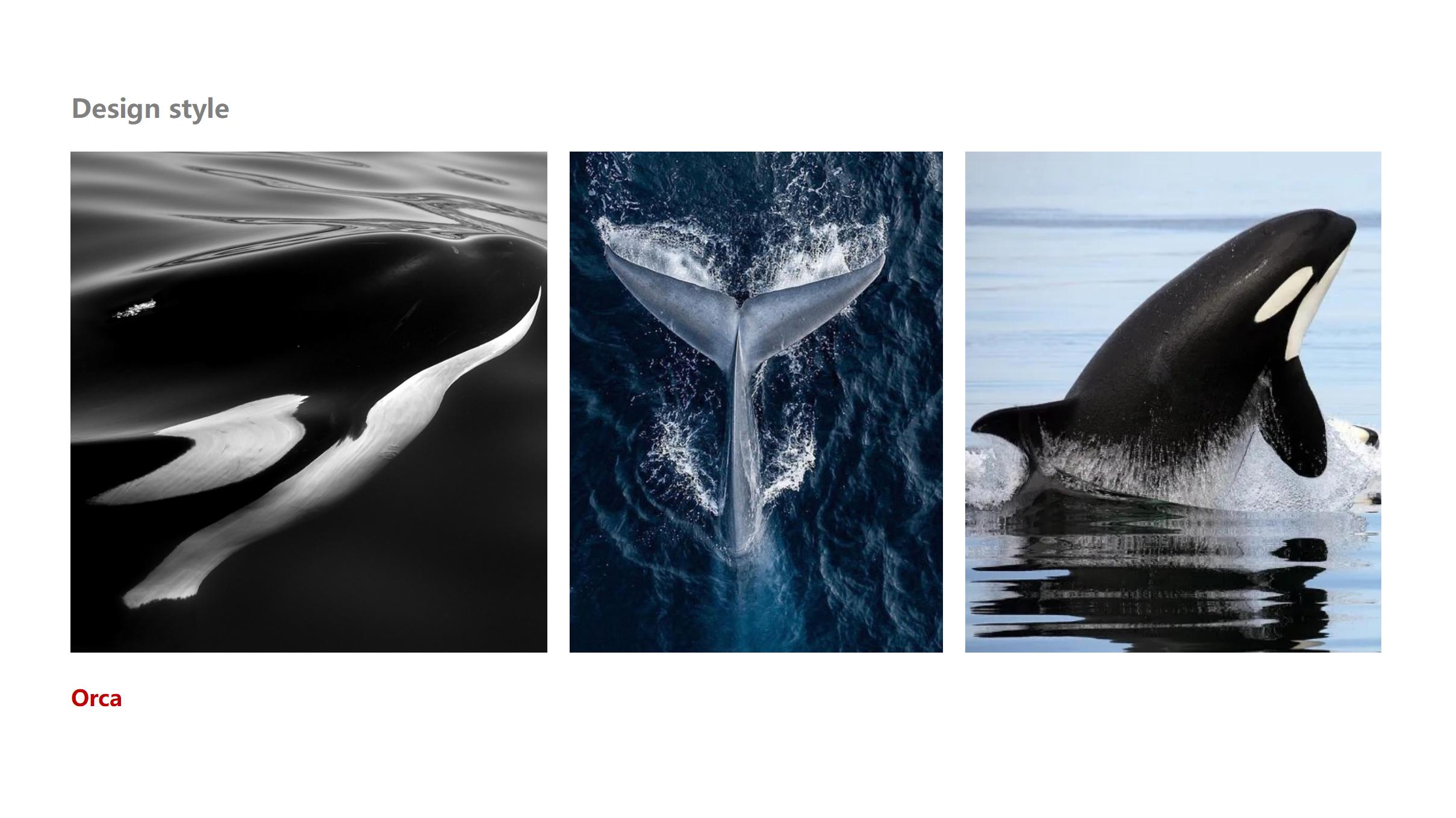 logistics，Shunfeng，low-altitude economy，science and technology，UAV，