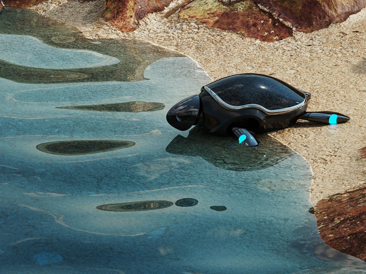 RoboTurtle，Shore，Water cleaning，sustainable development，