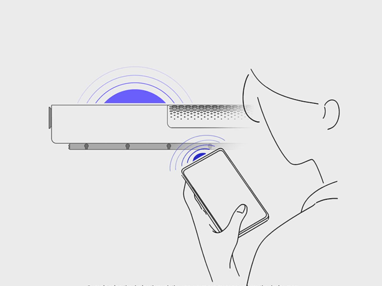 You know，Roman goddess，Clothing care，Air purification，