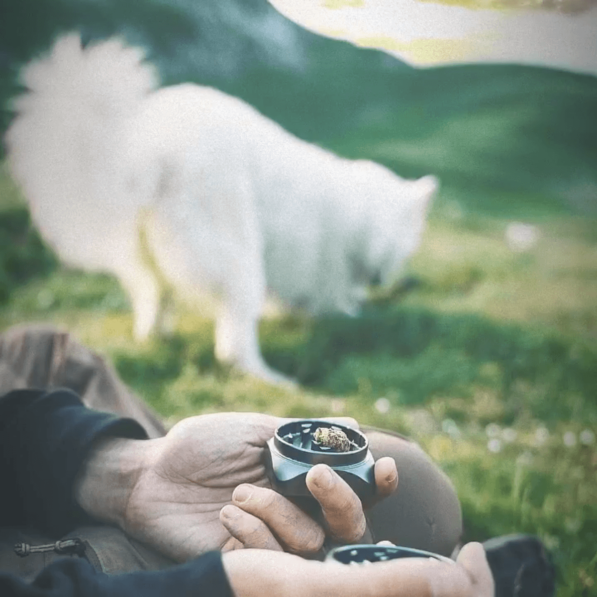 Grinding machine，Krush 2.0，Kitchen tools，Housewear & Furnishings，