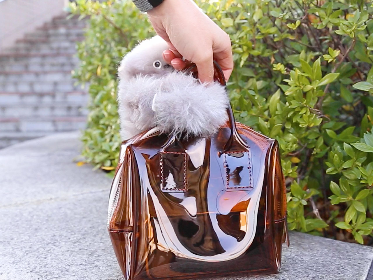 CES 2025，Robot Companion，Mirumi，Emotional interaction，