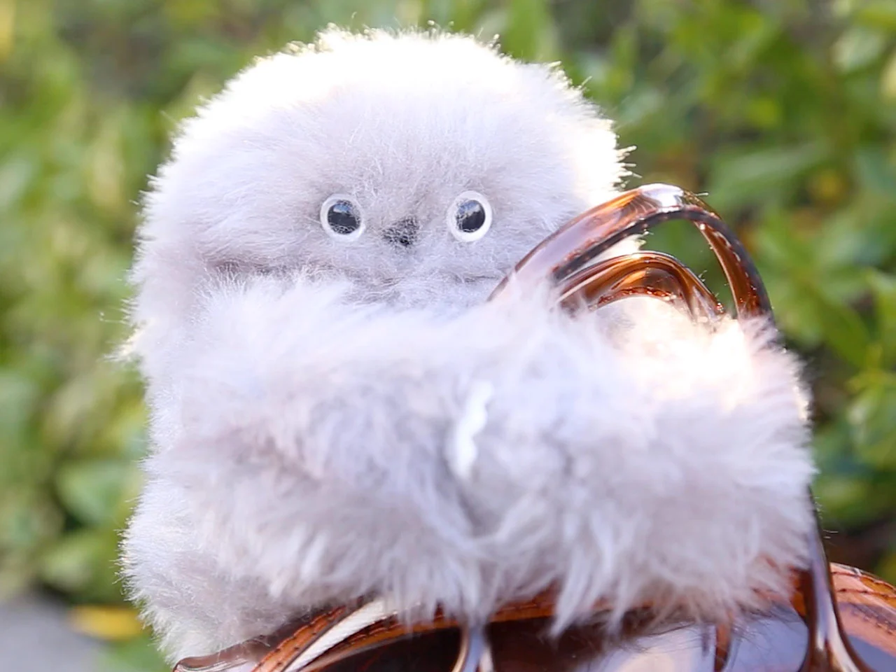 CES 2025，Robot Companion，Mirumi，Emotional interaction，