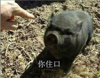 Creative cake，Cake making，Character design，Colorful，Rich colors，Children's snacks，Snack making，Biscuit design，Bionics Design ，jelly，Kitty，Bionic cat，Star element，