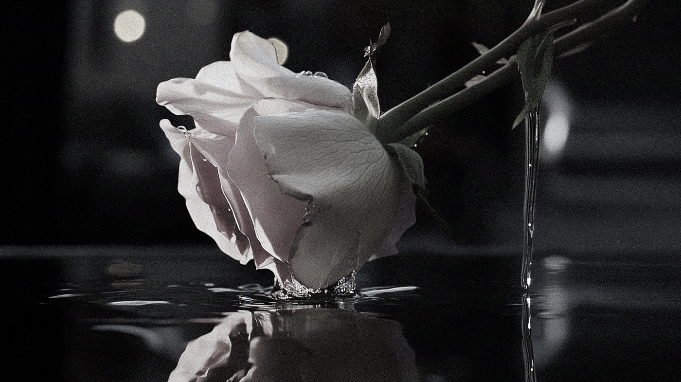 vase，Housewear & Furnishings，Home furnishings，originality，