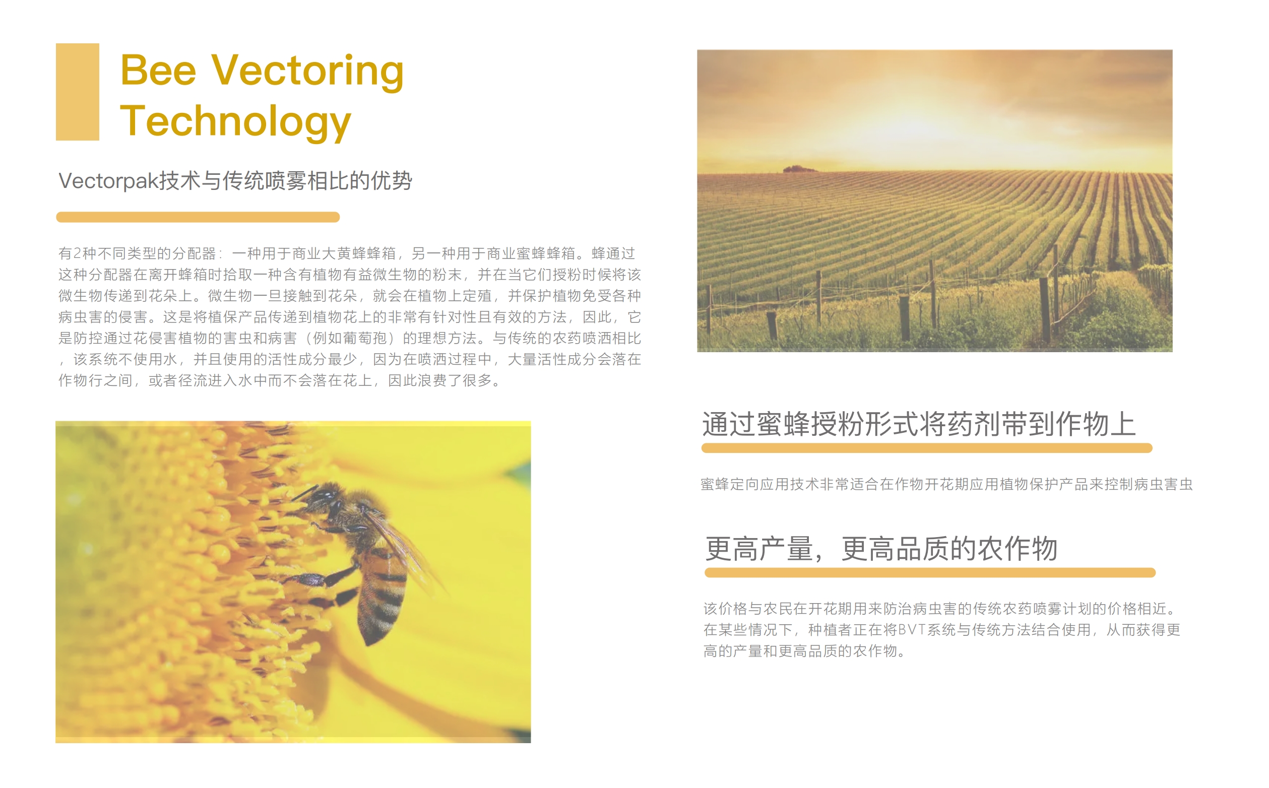 industrial design，product design，Original design，Agricultural products，biological prevention and control，