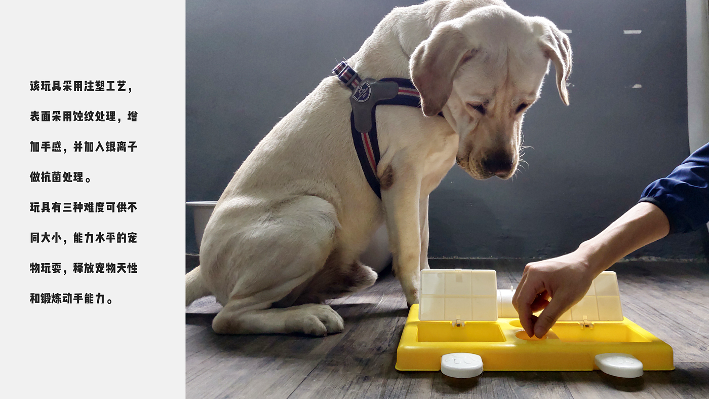 Pet toys，