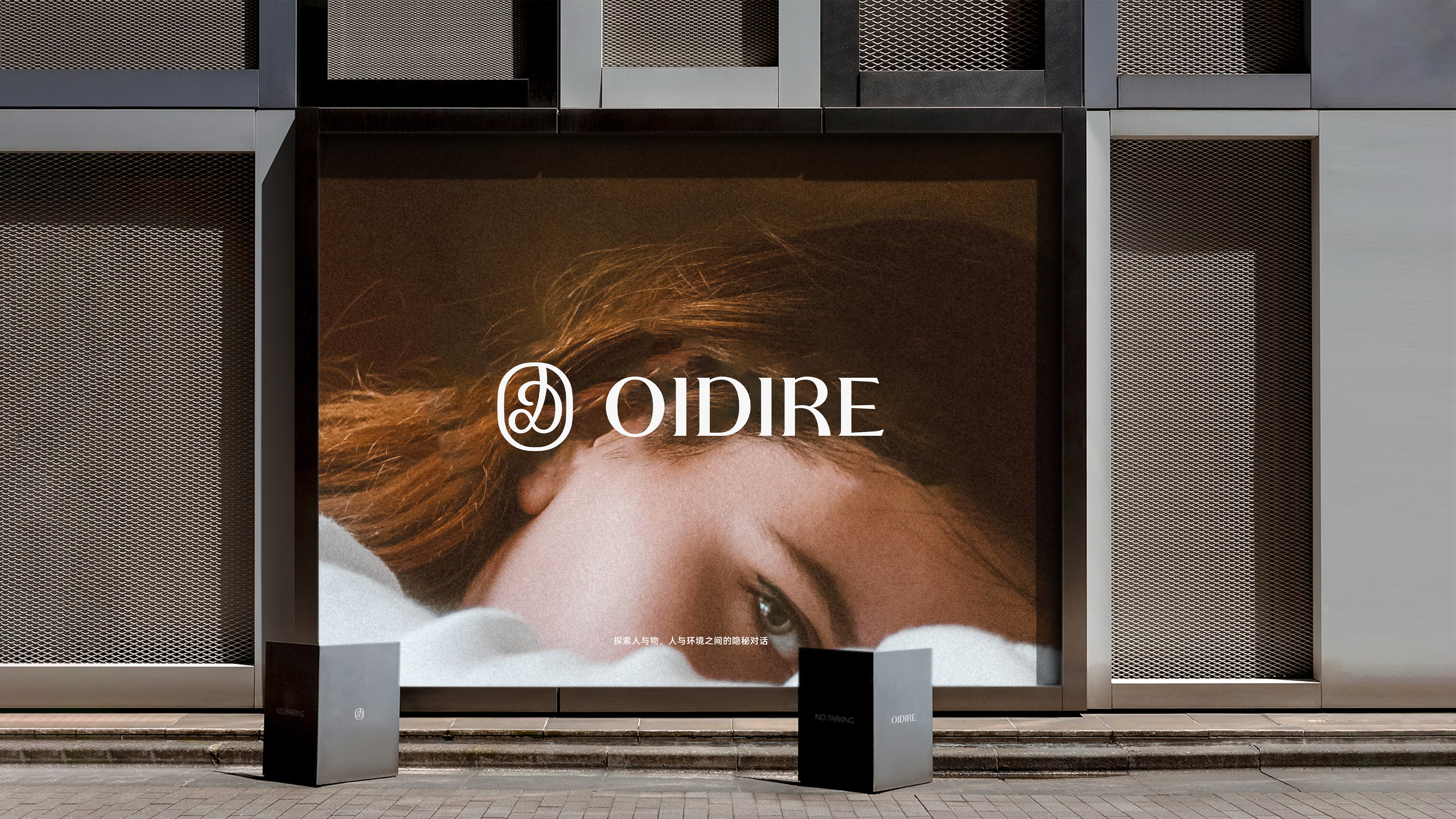 Brand strategy，Brand naming in Chinese，Logo design，VI design，packing design，