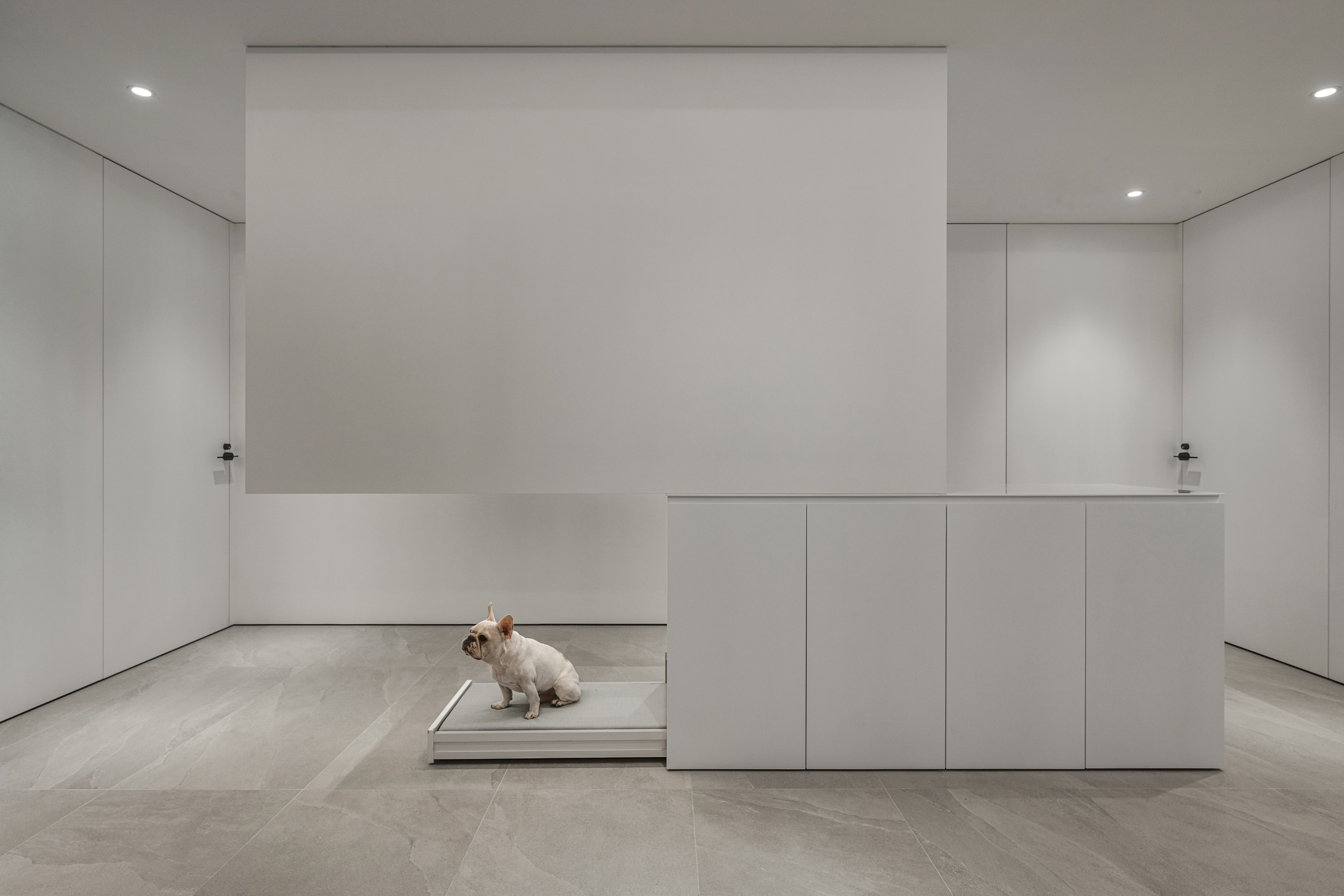 If Award，red dot，industrial design，space design ，product design，Graphic Artist Designer，packing design，