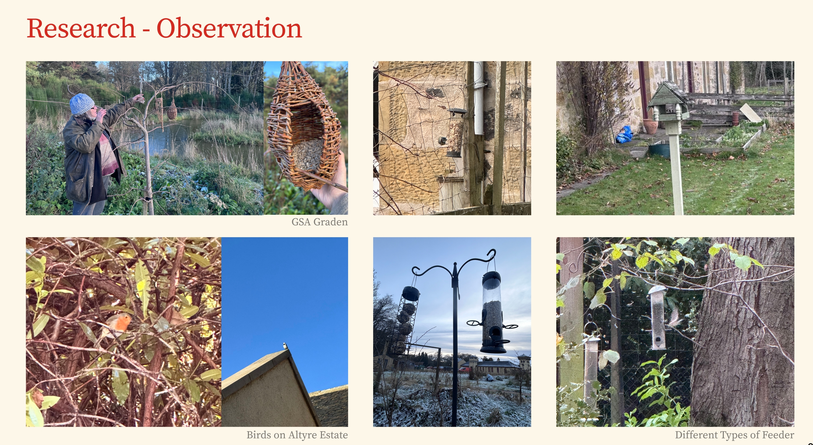 Inclusive Design ，birds，product design，Service design，