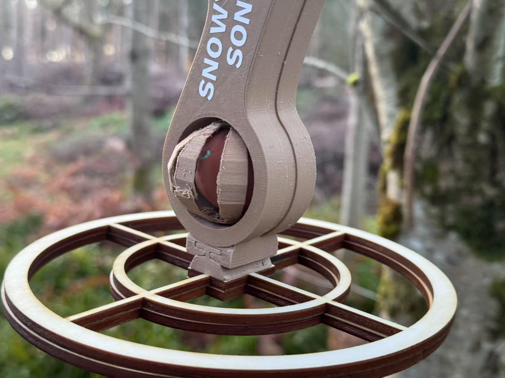 Inclusive Design ，birds，product design，Service design，