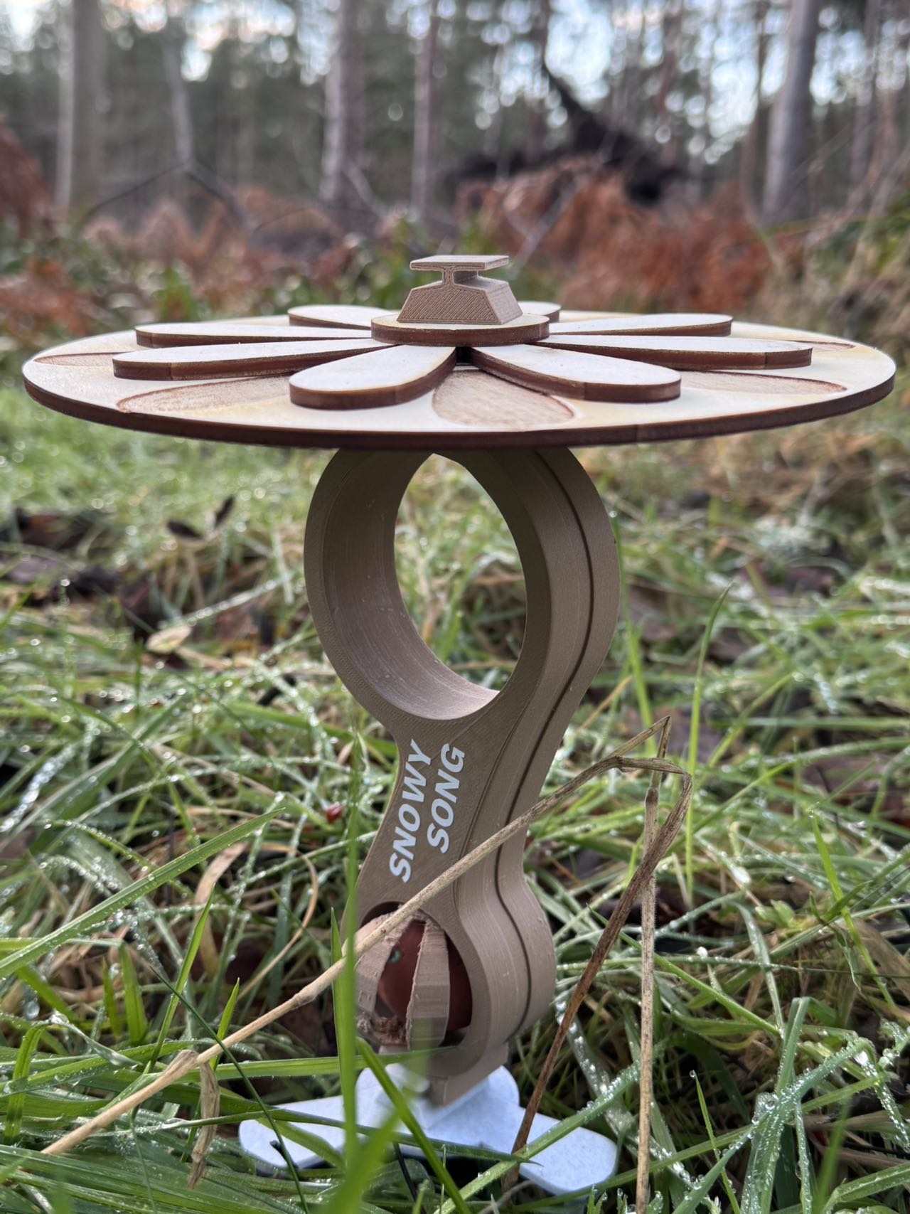 Inclusive Design ，birds，product design，Service design，