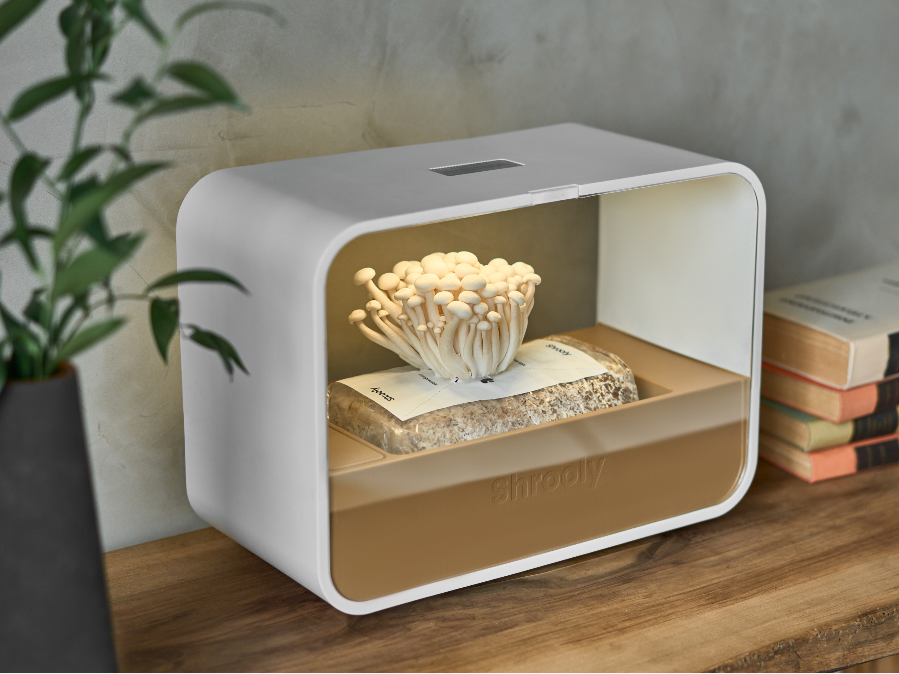 If Award，Red dot award，Household Electric Appliances，product design，industrial design，Structural design，furniture，Home Furnishing，