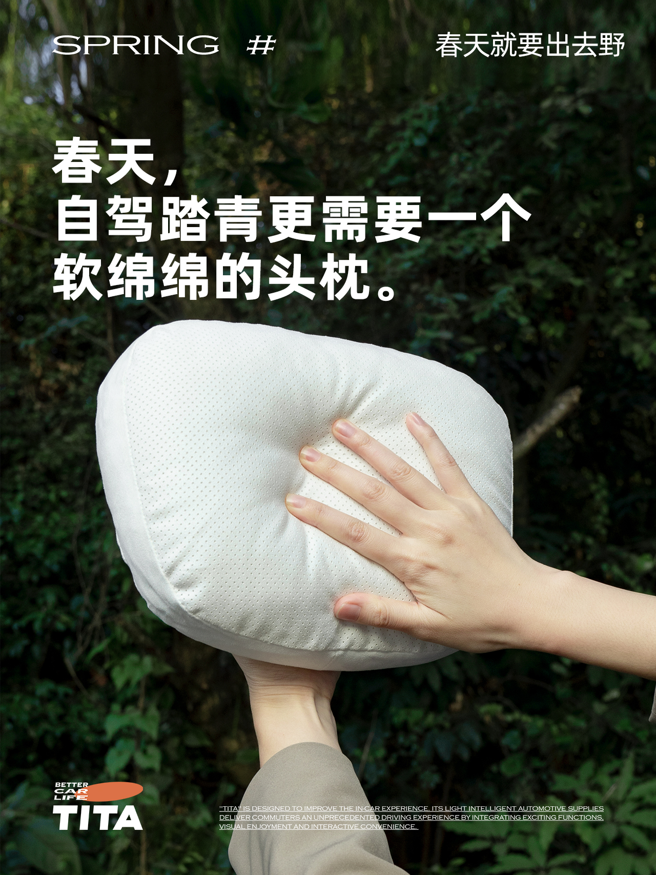 brand，TITA，Tesla，Car products，poster，